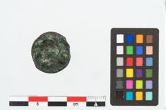 Foto von Bronzeringfußknopf (NHMW-PRAE-026343)